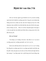 Bệnh hở van tim 3 lá ppsx