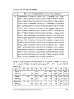 Hệ Mật Mã Elgamal - Sinh Tham Số An Toàn phần 10 potx