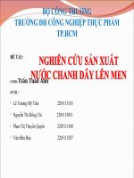 thuyết trình nguyên cứu sản xuất nước chanh dây lên men