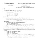 ĐỀ THI VÀ ĐÁP ÁN  MÔN TOÁN THI VÀO 10 (NHA TRANG 2010-2011)