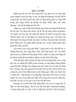 Nghiên cứu điều chỉnh độ mê theo điện não số hóa bằng nồng độ đích tại não hoặc nồng độ phế nang tối thiểu của thuốc mê