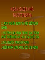 BÀI THUYẾT TRÌNH NGÂN SÁCH NHÀ NƯỚC(NSNN) pdf