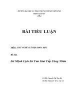 Bài tiểu luận: Sứ mệnh lịch sử của giai cấp công nhân pot