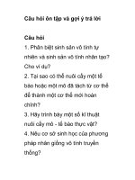 Câu hỏi ôn tập và gợi ý trả lời pptx