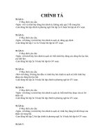 Mục tiêu chuẩn kiến thức lớp 4 môn Chính tả