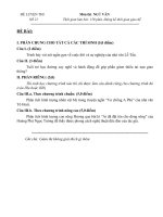 Đề thi thữ môn ngữ văn 2010-4