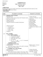 giao an Tieng Anh 10 hk2(undersea world)