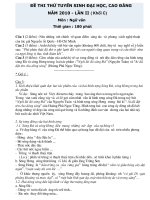 Đề thi thử môn ngữ văn 2010-8