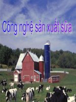 ô nhiễm ngành sản xuất sữa pdf