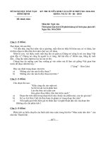 Đề thi tuyển sinh vào 10 môn Ngữ văn - tỉnh Bình Định năm 2010-2011