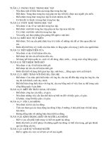 Mục tiêu chuẩn kiến thức lớp 4 môn Đạo đức