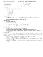 de thi va dap an mon toan vao 10 TPHCM (2010-2011)