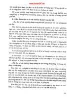 Giáo trình tổng quan du lịch part 6 potx