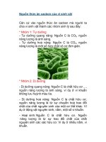 Nguồn thức ăn cacbon của vi sinh vật doc