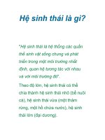 Hệ sinh thái là gì? pot