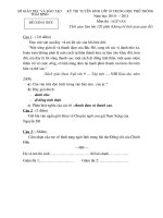 Đề văn vào 10 Tỉnh Thái Bình năm học 2010 - 2011