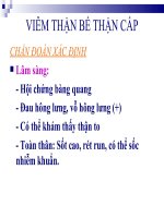VIÊM THẬN BỂ THẬN CẤP ppt