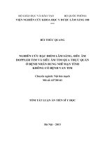 Nghiên cứu đặc điểm lâm sàng, siêu âm doppler tim và siêu âm tim qua thực quản ở bệnh nhân rung nhĩ mạn tính không có bệnh van tim (tóm tắt)