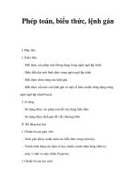 Phép toán, biểu thức, lệnh gán docx