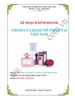 BÁO CÁO KẾ HOẠCH KINH DOANH  CHUỖI CỬA HÀNG MỸ PHẨM TẠI VIỆT NAM