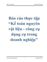 Báo cáo thực tập “Kế toán nguyên vật liệu - công cụ dụng cụ trong doanh nghiệp