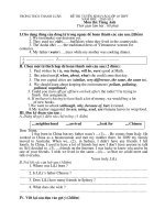 de thi thu vao lop 10 lan cuoi (hot)