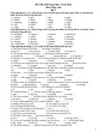 2 ĐỀ THI THỬ ĐẠI HỌC NĂM 2010 Môn Tiếng Anh