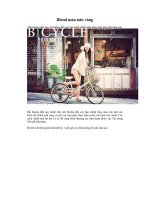 Blend màu nâu vàng pps