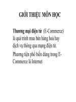 slide giới thiệu môn học thương mại điện tử