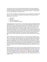 Bài tiểu luận: Quá trình lưu thông của vàng doc