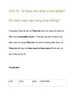 Unit 10 - Is there any wine in the bottle? ppt