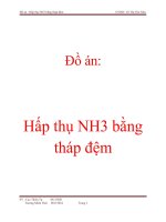 Đồ án: hấp thụ NH3 bằng tháp đệm ppt