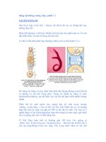 Động vật không xương sống ( phần 7 ) Lớp Sán pps