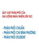 Quy luật phân phối đại lượng ngẫu nhiên liên tục pps