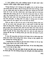 Mô Hình Kinh Tế Quốc Gia phần 10 pdf