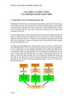 Cấu trúc, chức năng của mô phân sinh ngọn chồi pptx