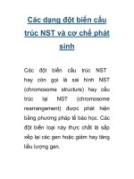 Các dạng đột biến cấu trúc NST và cơ chế phát sinh docx