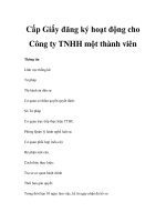 Cấp Giấy đăng ký hoạt động cho Công ty TNHH một thành viên ppt