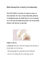 Bệnh thương hàn và bạch lỵ do Salmonella ppt