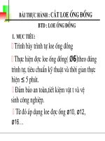 Giao an thuc hanh loe ong doc