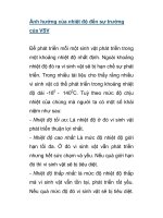 Ảnh hưởng của nhiệt độ đến sự trưởng của VSV pptx