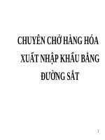 Báo cáo: Chuyên chở hàng hóa xuất khẩu bằng đường sắt pdf
