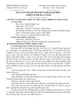 báo cáo thành tích CSTĐCS