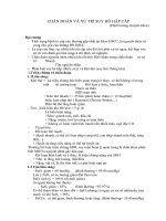 CHẨN ĐOÁN VÀ XỬ TRÍ SUY HÔ HẤP CẤP pdf