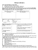 Bài tập nâng cao Tiếng Việt lớp 5(Bdưỡng HSG)