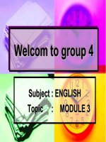 Lê Thị Anh Đức ppsx