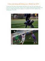 Chùm ảnh không thể không xem (L2)