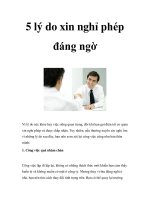 5 lý do xin nghỉ phép đáng ngờ pptx