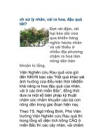 xử lý nhãn, vải ra hoa, đậu quả tốt? pptx