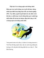 Tiếp thị số và sử dụng ngân sách thông minh pps